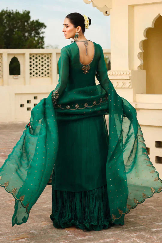 ZAMROOD ARA